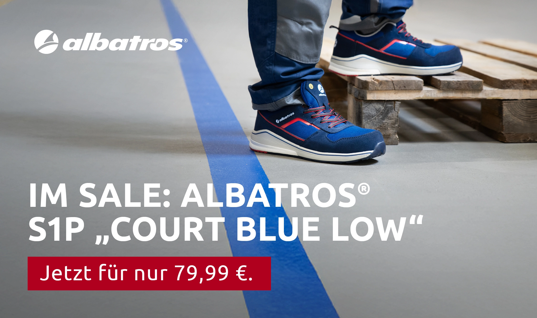 Albatros_Sale
