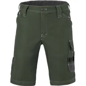 Farbvariante grün/dunkelgrau