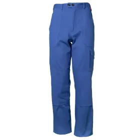 Farbvariante kornblau