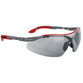 Schutzbrille &quot;Nexus Vario 3&quot; grau