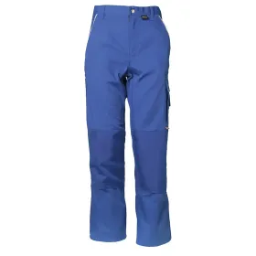 Farbvariante kornblau