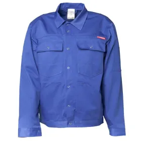 Farbvariante kornblau