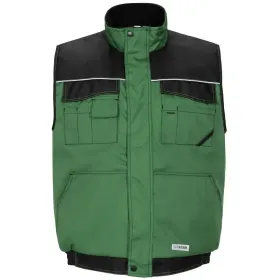 Farbvariante farngrün/schwarz