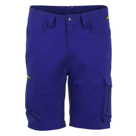 Farbvariante kornblau