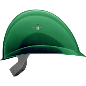 Farbvariante minzgrün