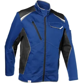 Farbvariante kornblau/schwarz